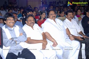 Allari Naresh Sudigadu Audio Release Function Photos