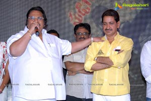 Allari Naresh Sudigadu Audio Release Function Photos