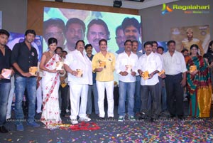 Allari Naresh Sudigadu Audio Release Function Photos