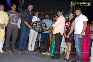 Telugabbayi Audio Release Function