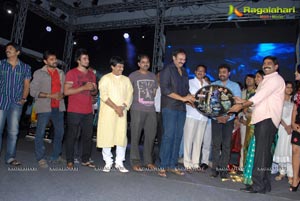 Telugabbayi Audio Release Function