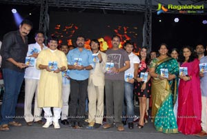 Telugabbayi Audio Release Function