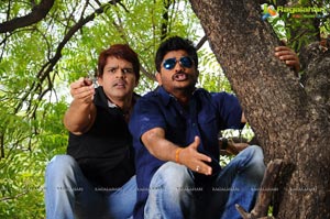 Action with Entertainment Movie Gallery