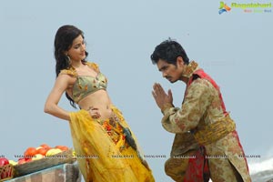 Anaganaga O Dheerudu Shruti Haasan Siddharth Romantic Photos