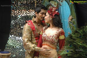 Anaganaga O Dheerudu Shruti Haasan Siddharth Romantic Photos