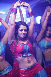Nikitha in Daddy Cool Movie Gallery