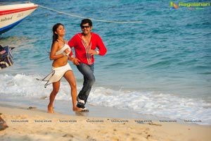 Hasini Spicy Movie Gallery