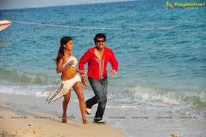 Hasini Spicy Movie Gallery