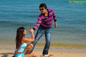 Hasini Spicy Movie Gallery