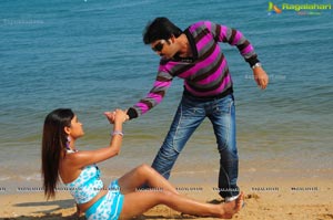 Hasini Spicy Movie Gallery