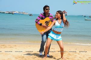 Hasini Spicy Movie Gallery