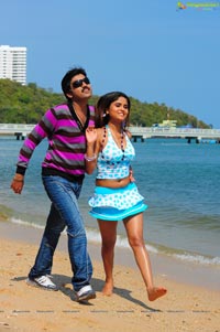 Hasini Spicy Movie Gallery