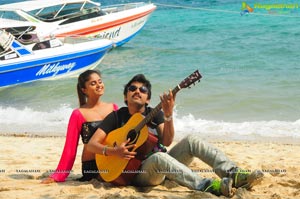 Hasini Spicy Movie Gallery