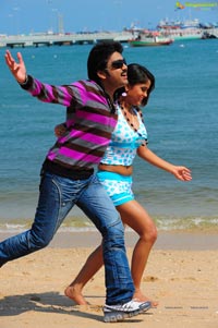 Hasini Spicy Movie Gallery