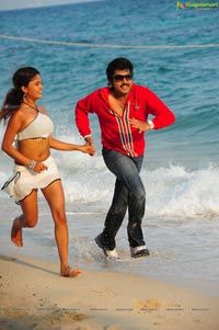 Hasini Spicy Movie Gallery