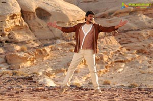 Udhayanidhi Stalin, Hansika OK OK Telugu Movie Gallery