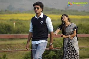 Parents Movie Gallery