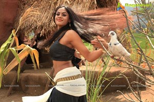 Ravi Varma Movie Stills