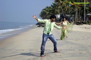 Telugu Cinema Hormones Working Stills