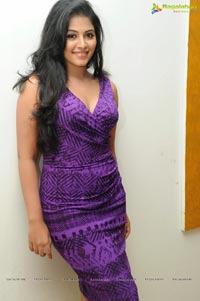 Balupu Success Meet