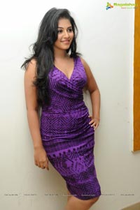 Balupu Success Meet