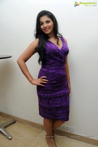 Balupu Success Meet