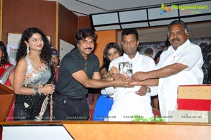 Deal Audio Release