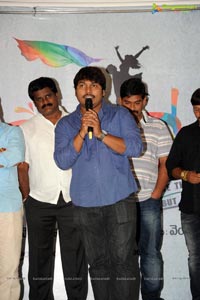 Gallo Telinattunde Logo Launch