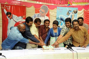 Gundejaari Gallanthayyinde 100 Days Function