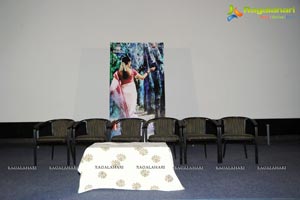 Mallela Theeram Lo Sirimalle Puvvu Success Meet