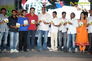 Prema Prayanam Audio Release