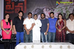 Telugulo Naaku Nachani Padam Prema Trailer Launch