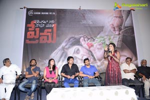 Telugulo Naaku Nachani Padam Prema Trailer Launch