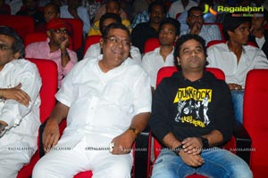 Yevadu Audio Release Function Photos