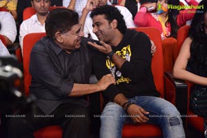 Yevadu Audio Release Function Photos