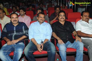 Yevadu Audio Release Function Photos