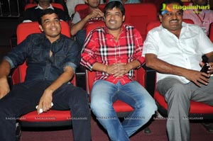 Yevadu Audio Release Function Photos