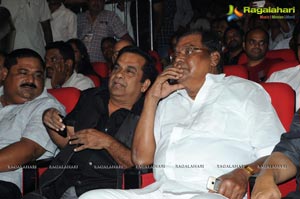 Yevadu Audio Release Function Photos