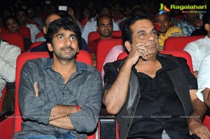 Yevadu Audio Release Function Photos