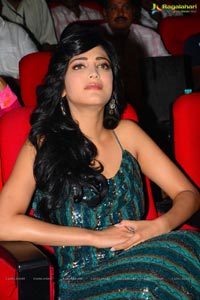 Yevadu Audio Release Function Photos