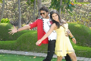 Kevvu Keka Movie Stills