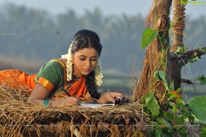 Telugulo Naaku Nachani Padam High Definition Movie Stills