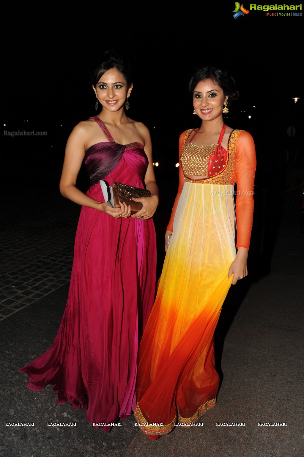 Celebs at 2013 Filmfare Awards (South)
