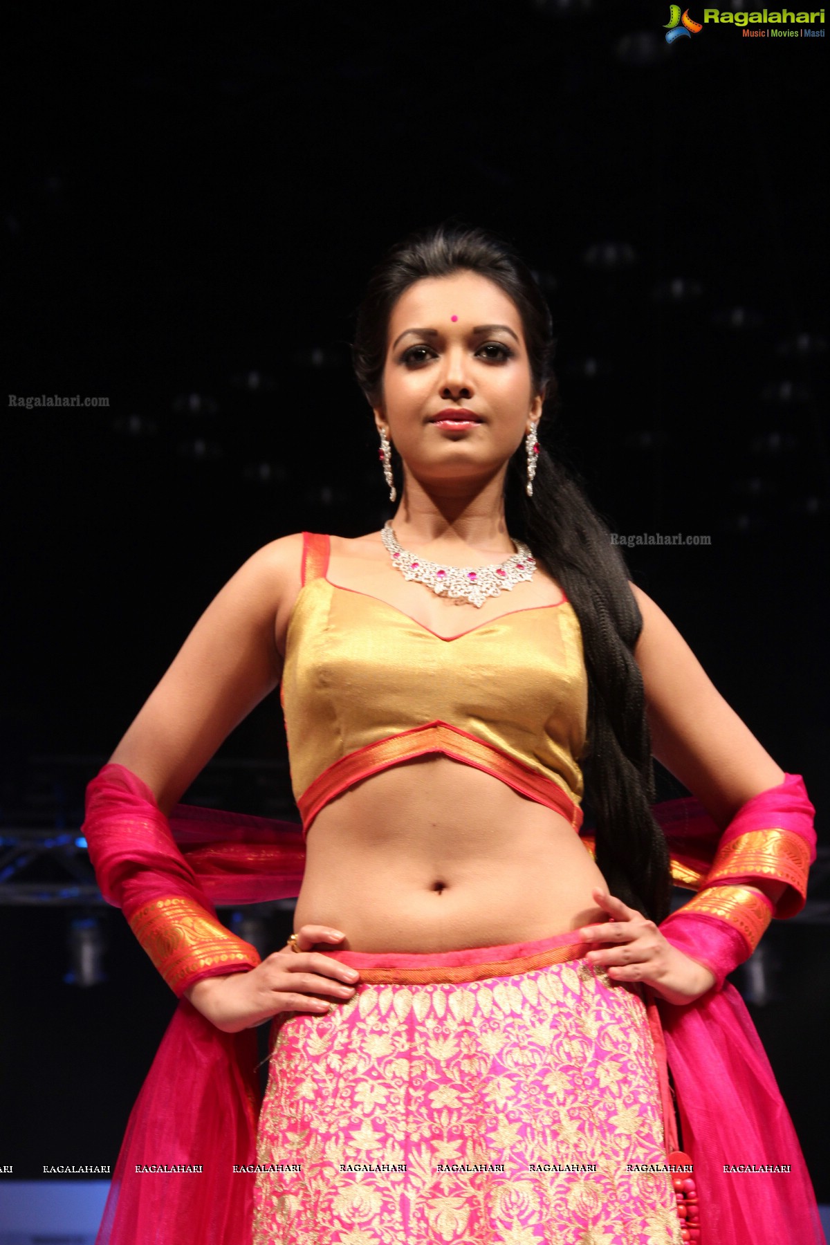 Hyderabad Fashion Week-2013, Season 3 (Day 1)