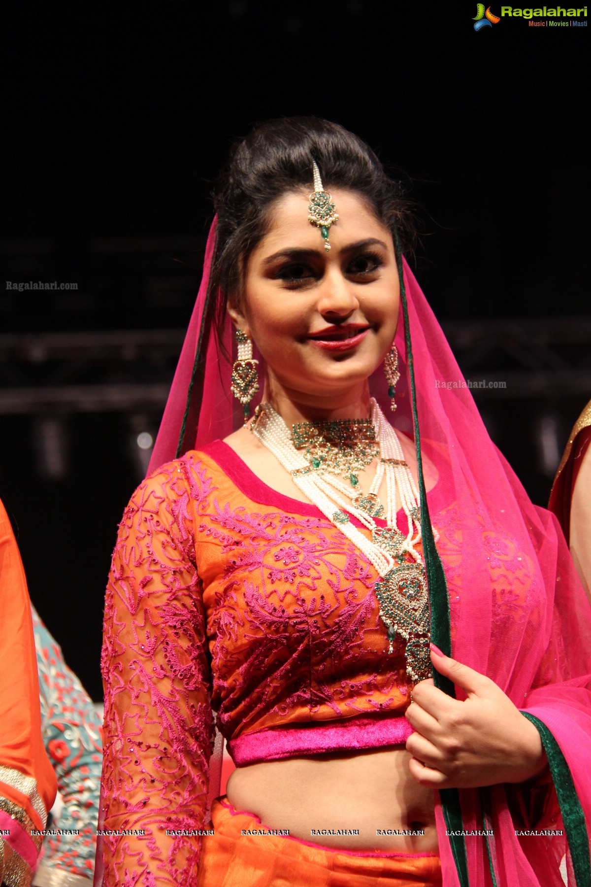 Hyderabad Fashion Week-2013, Season 3 (Day 1)