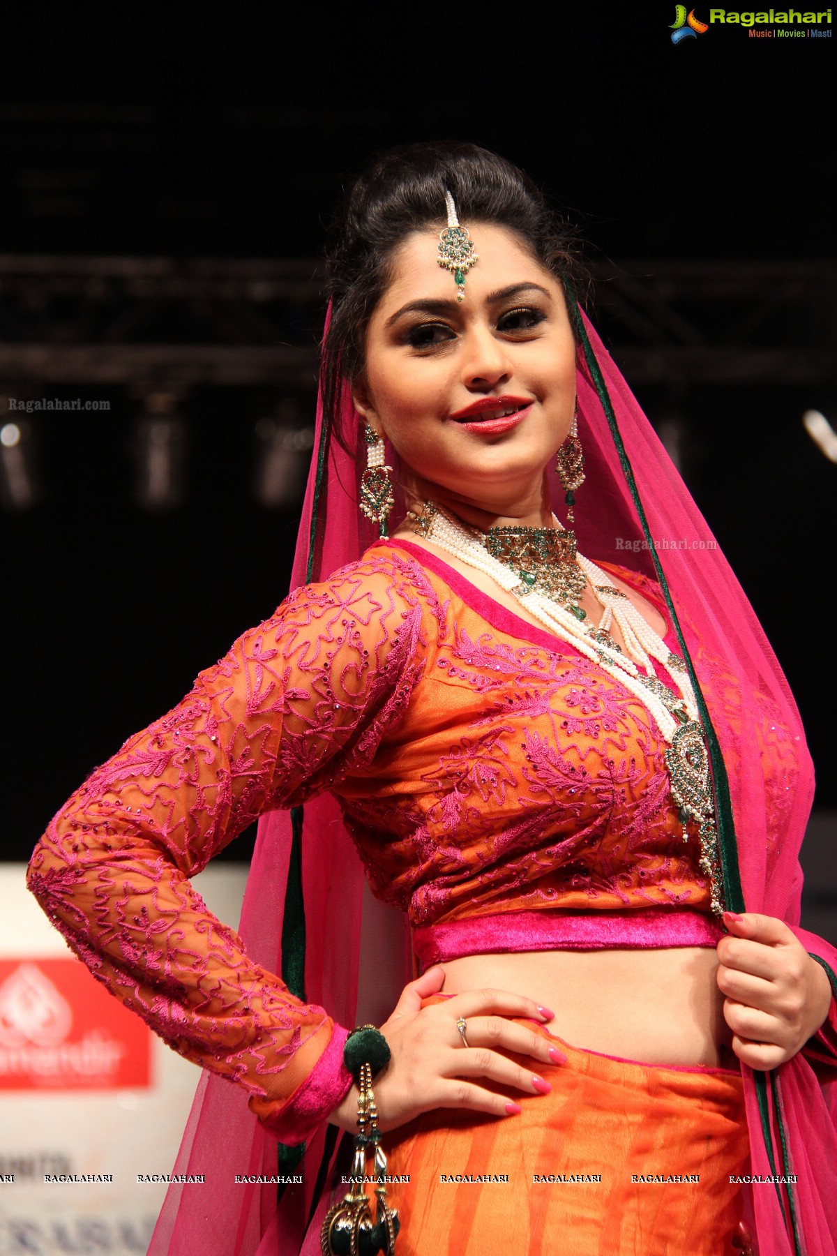 Hyderabad Fashion Week-2013, Season 3 (Day 1)