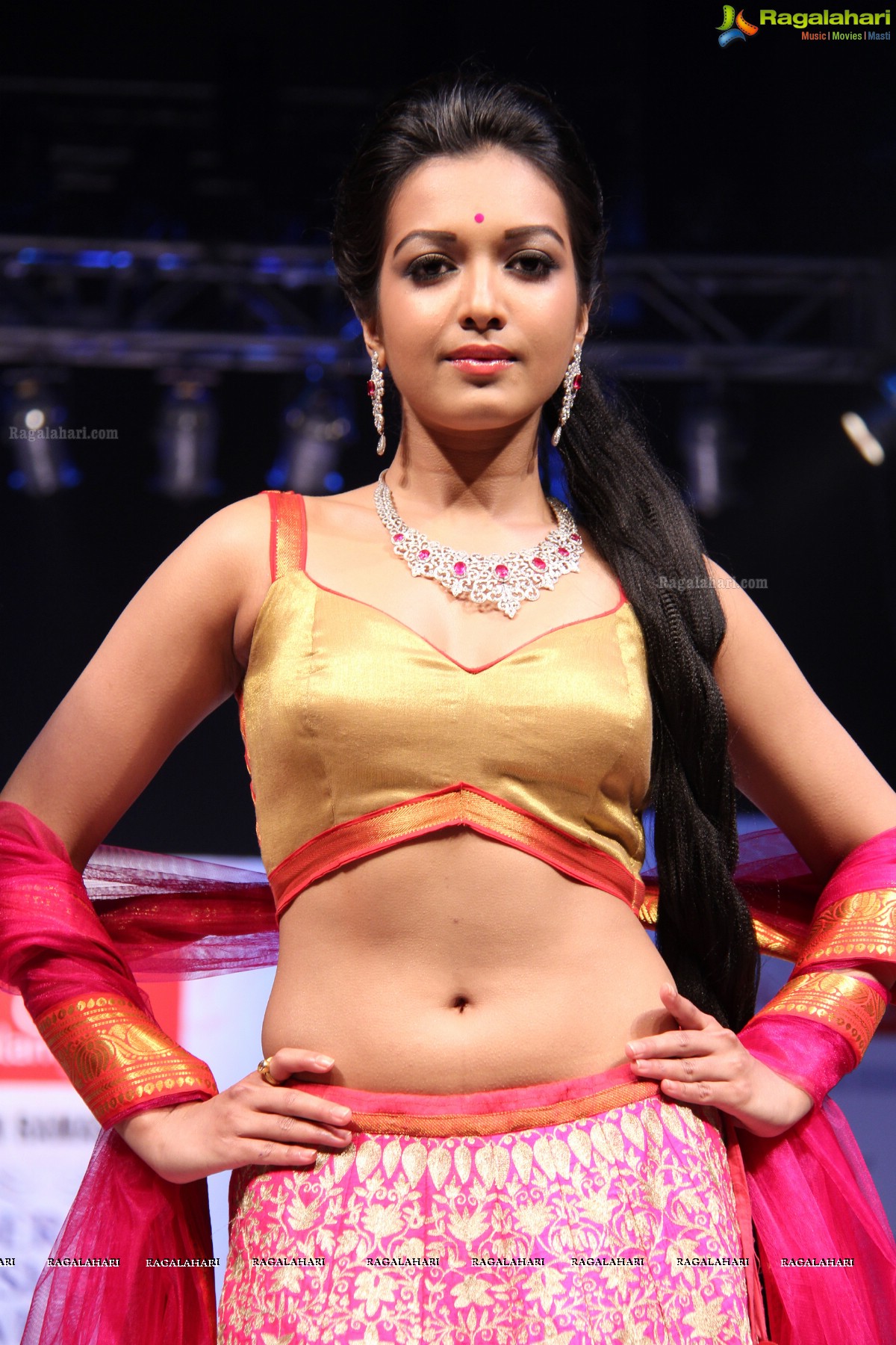 Hyderabad Fashion Week-2013, Season 3 (Day 1)