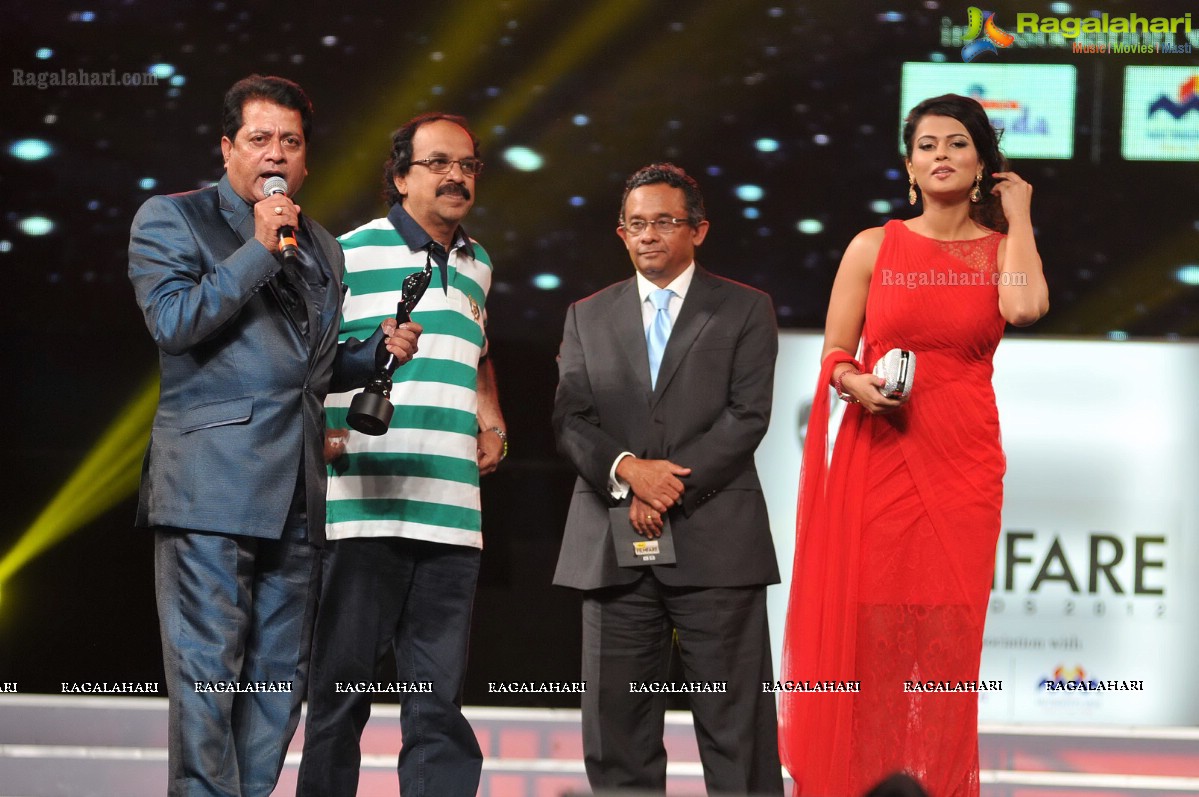 60th Filmfare Awards 2012 (South)