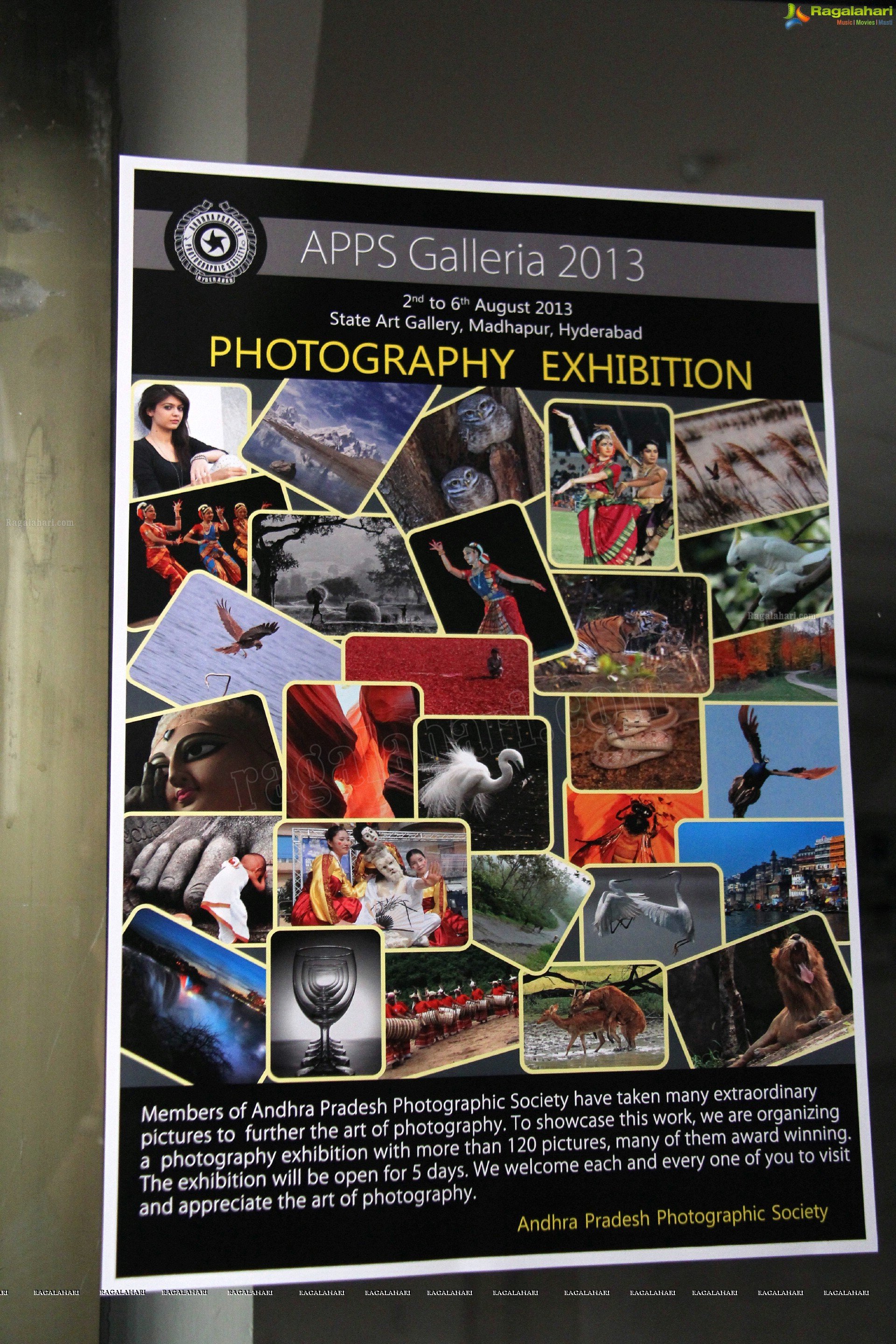 APPS Galleria 2013 Exhibition at Chinmayee State Art Gallery, Hyderabad
