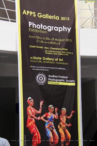 APPS Galleria 2013 Exhibition